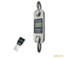 海洋之力，精准护航 100吨安全装备测试仪器与100t海洋捕捞专用测力计应用解析